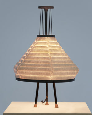 LAMP T002